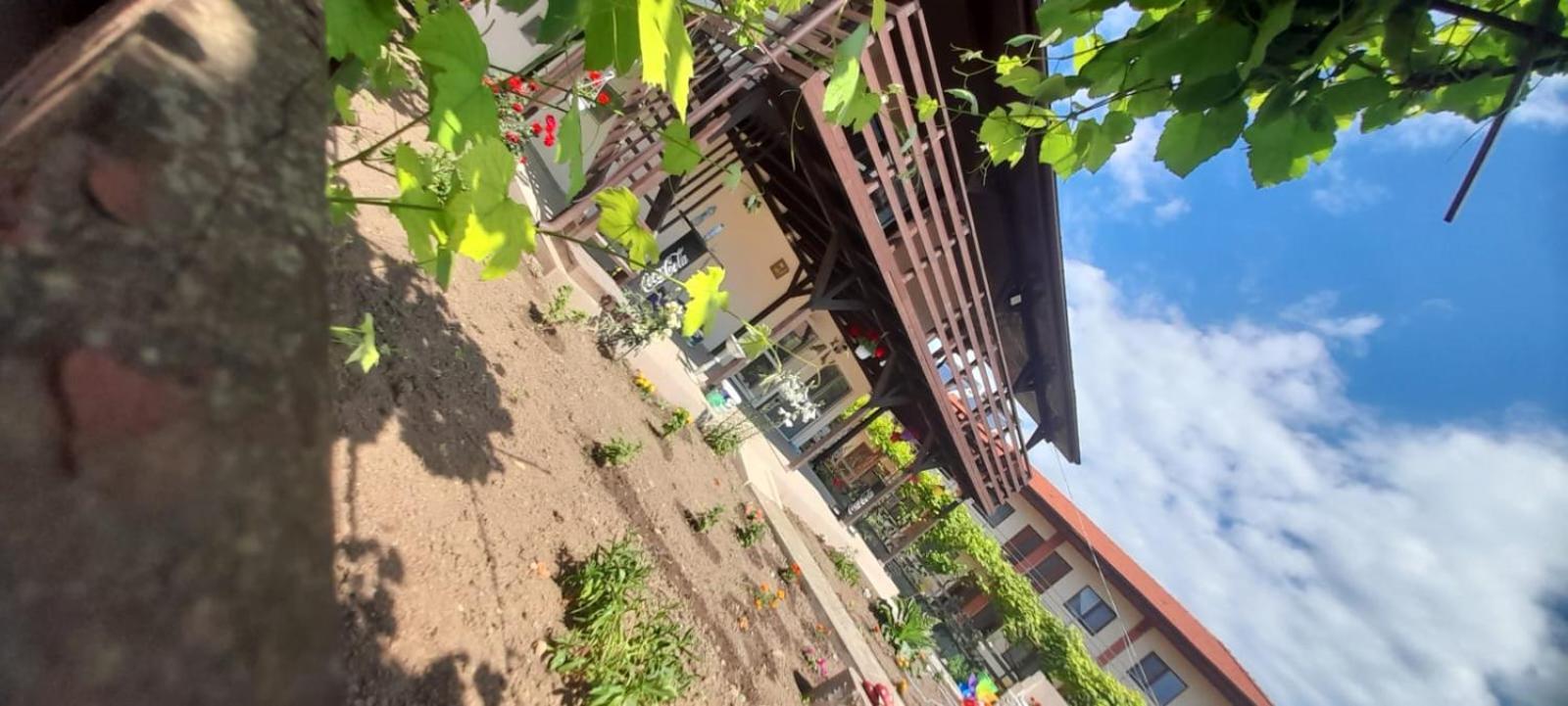 바마베체 Casa Calin 아파트 외부 사진